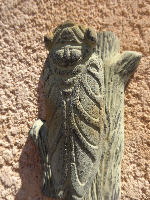 cicada in stone