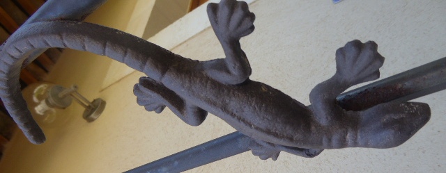 gecko cropped