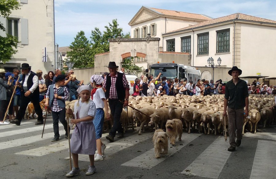 IMG_20180521_112610221