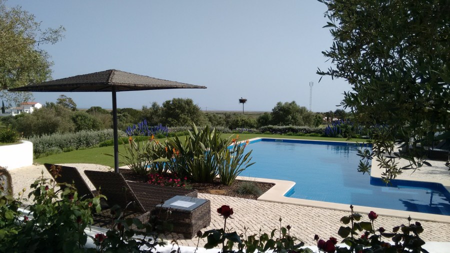 IMG_20180423_173442385