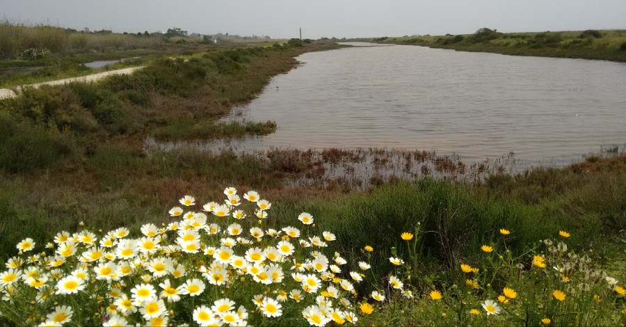 IMG_20180424_125231040