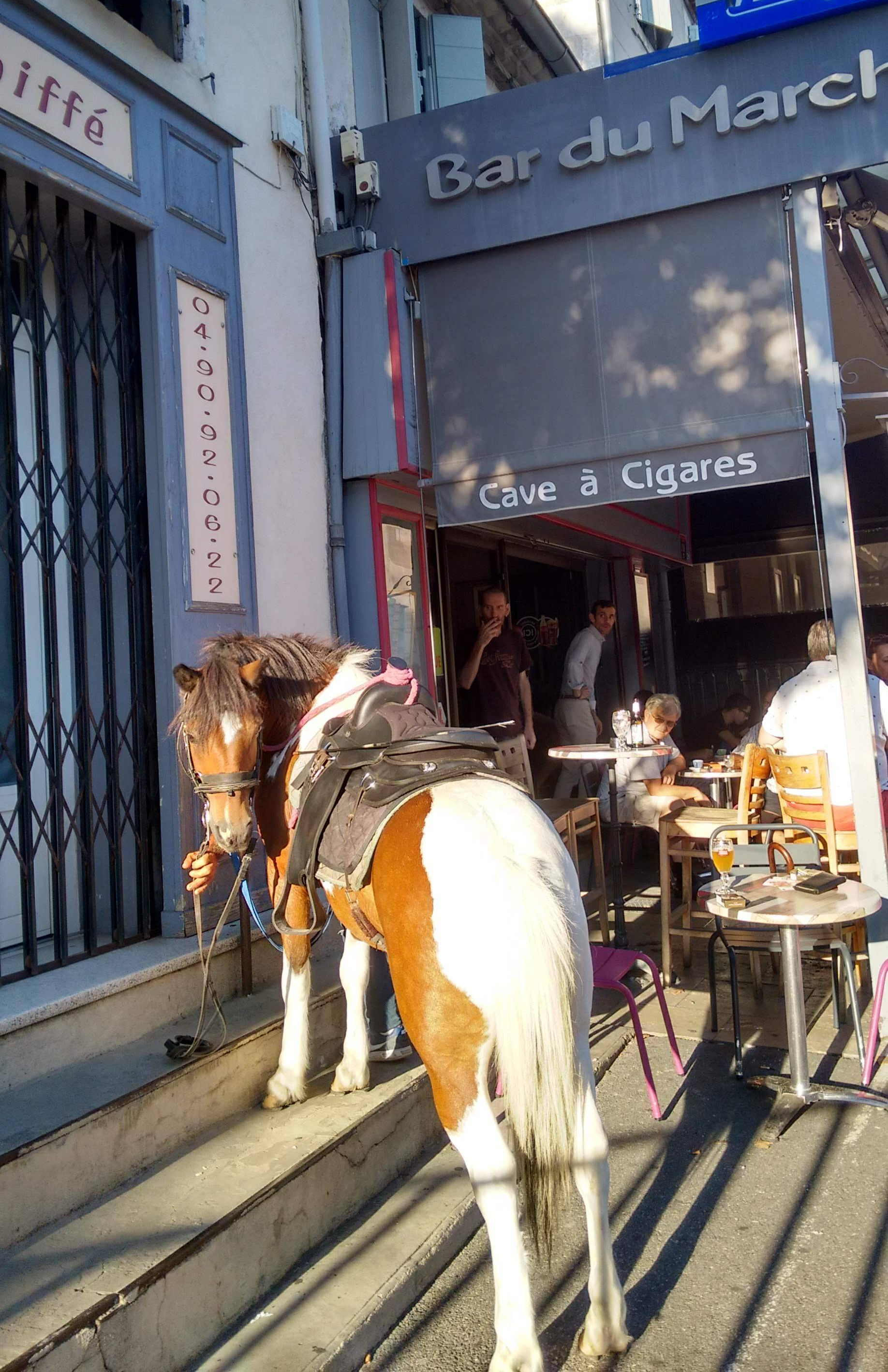 img_20180810_192647314_hdr