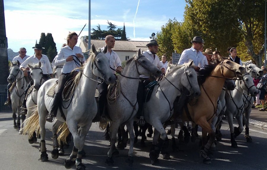 img_20180922_112511159