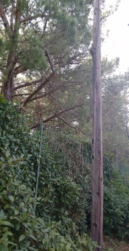 IMG_20181020_120216643