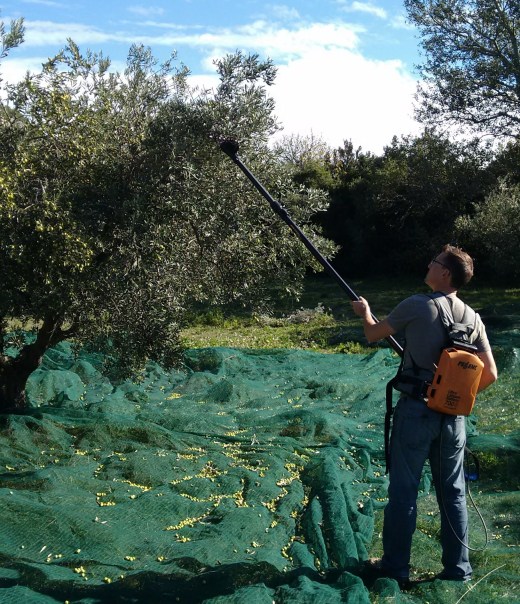 IMG_20181102_123750851