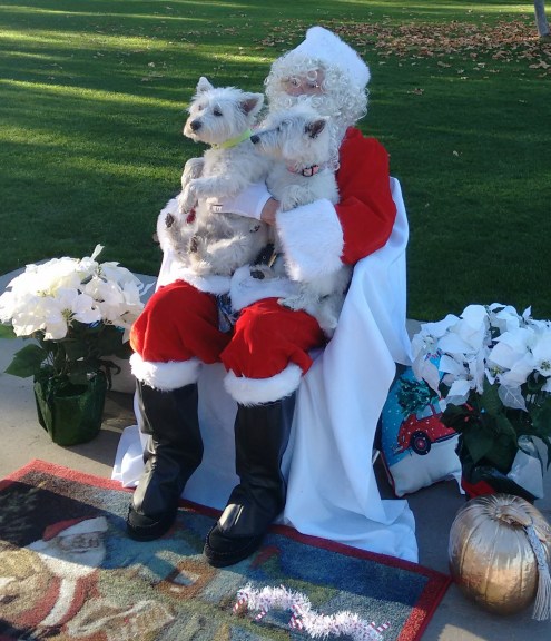 IMG_20181216_151551519