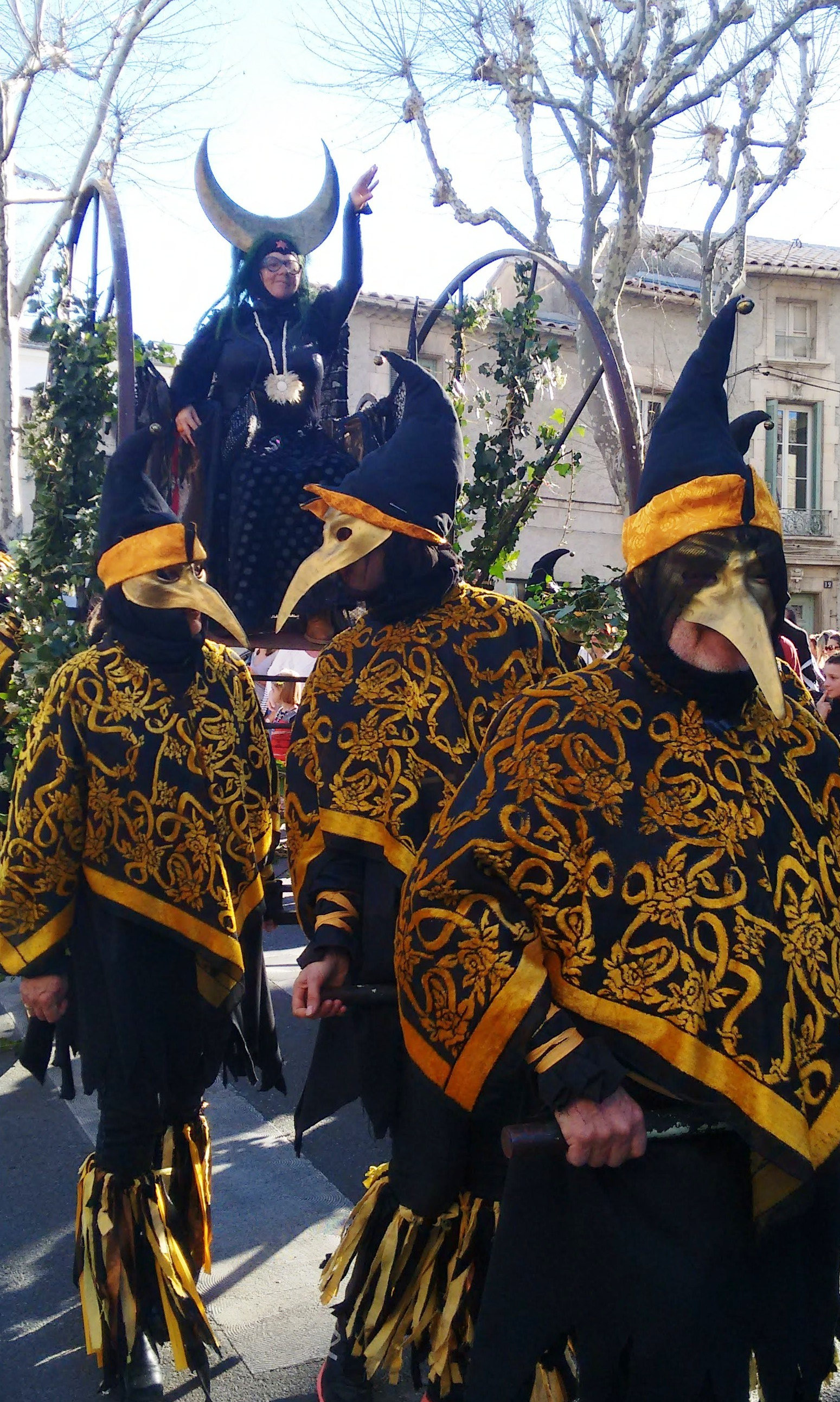 Elaborate costumes are a big draw to St. Remy's carnaval parade.