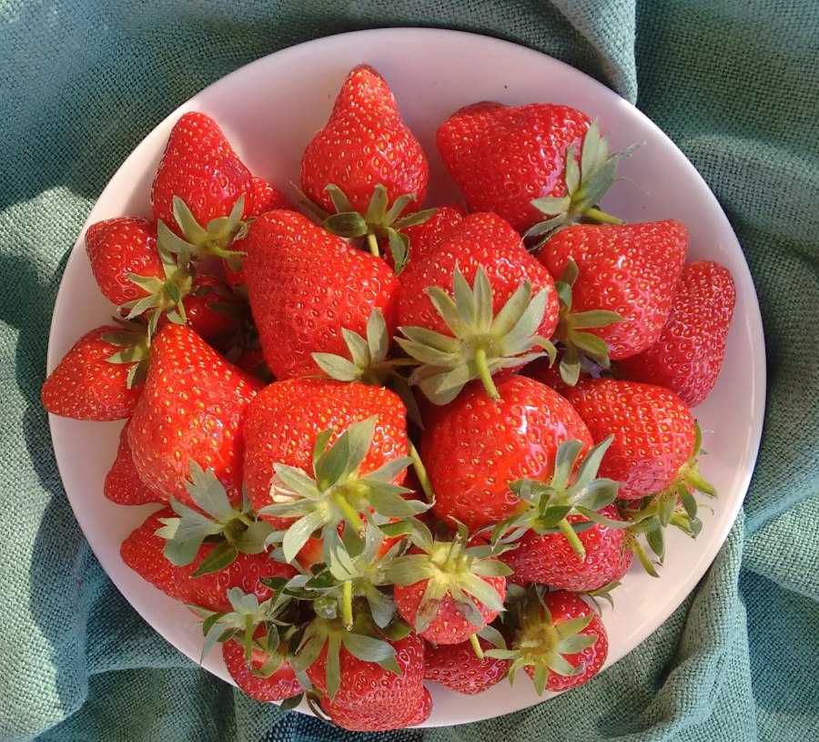 Local strawberries