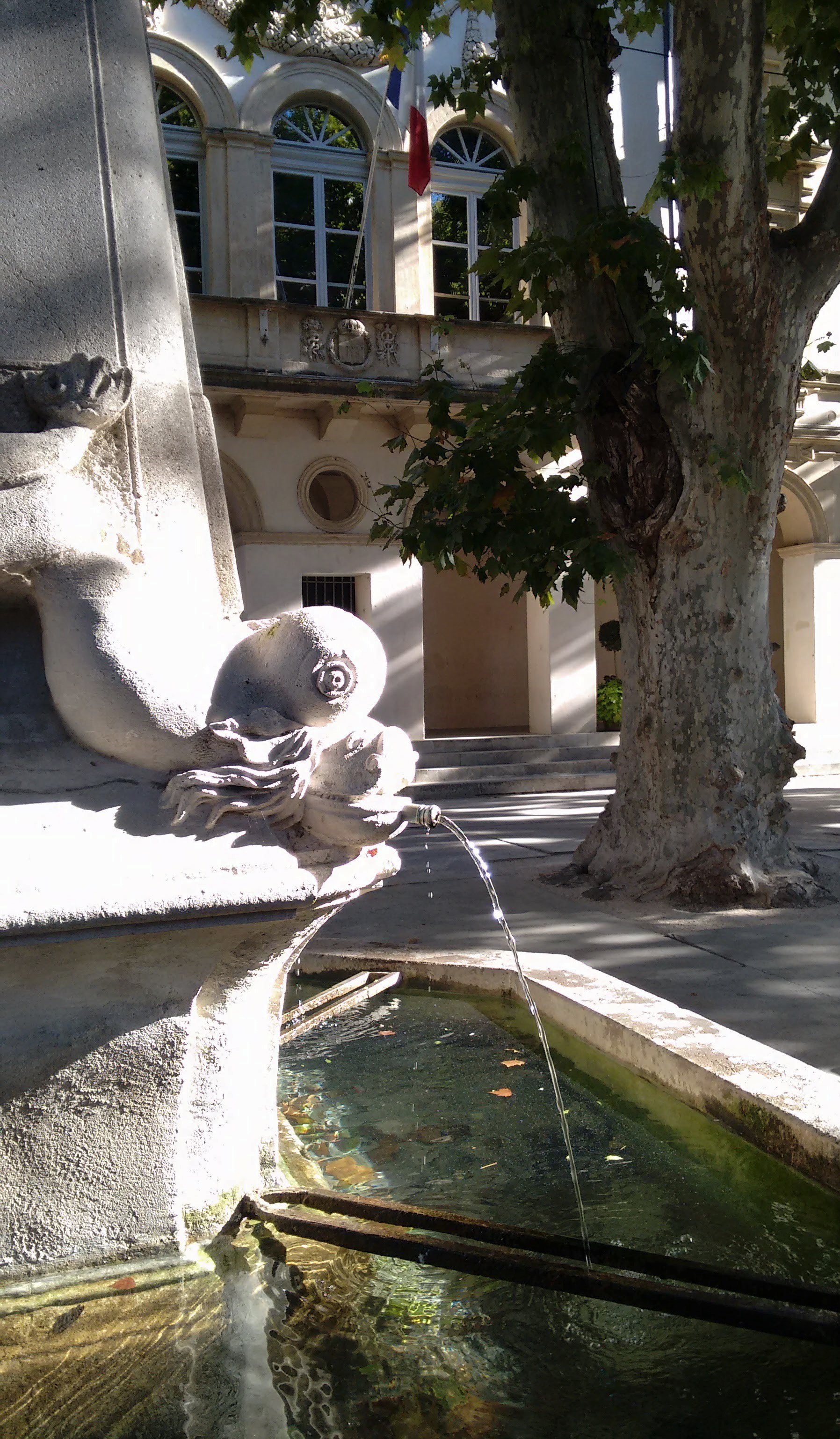 Four Dolfins Fountain