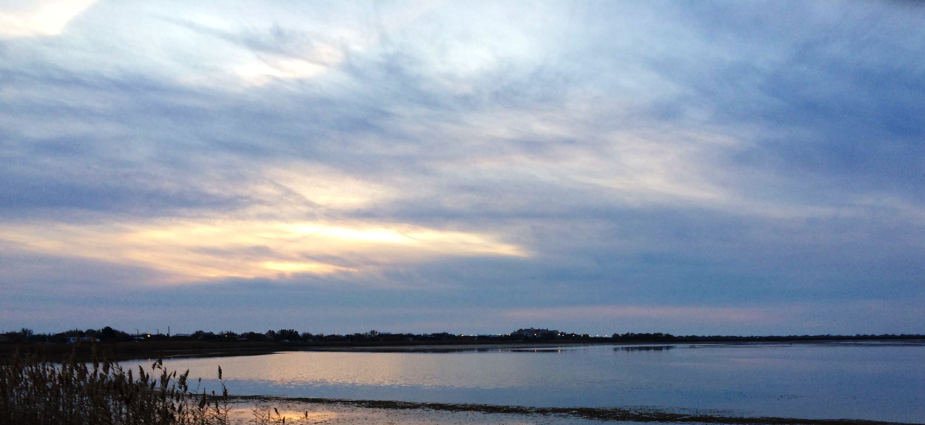 Lagoon in the Camargue